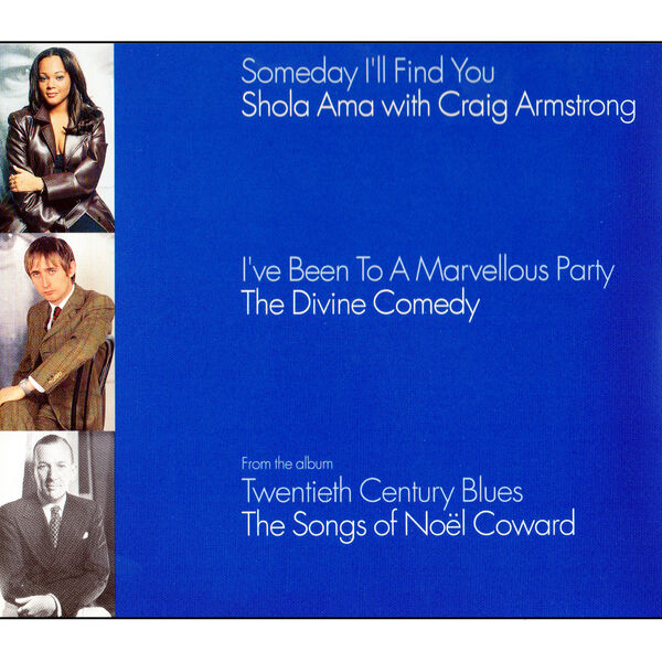 I've Been To A Marvellous Party The Divine Comedy